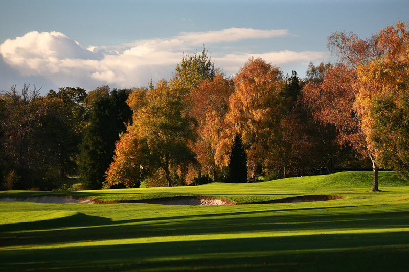 Golf Package 2